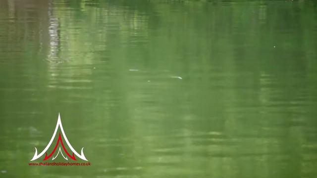Pattaya Attractions - Pattaya Fishing Park смотреть онлайн