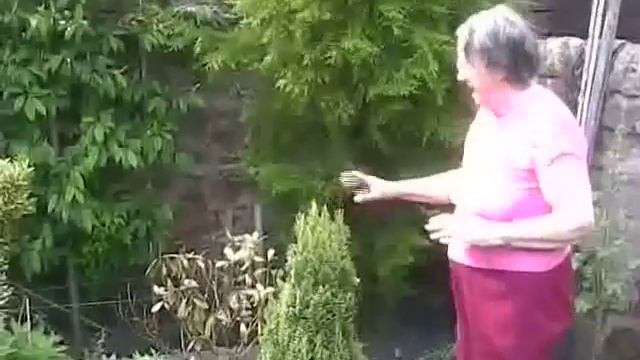 My Granny's Garden Part 1 of 2 смотреть онлайн