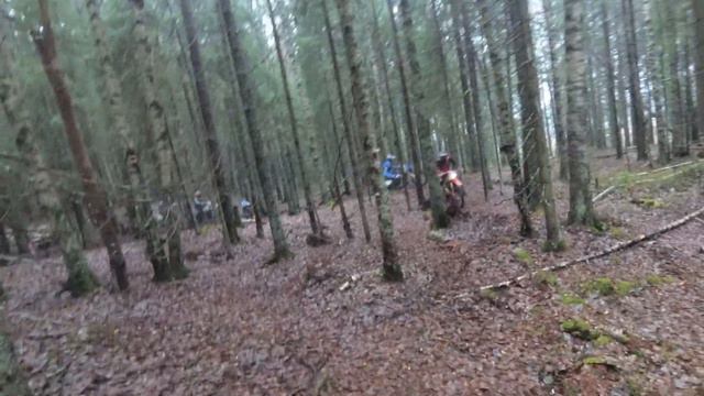 PitCross 11.11.23 Страх и страдания в Лен. области