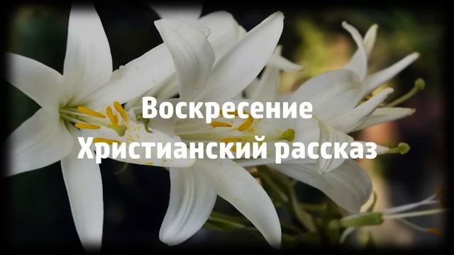 Воскресение - Христианский рассказ смотреть онлайн