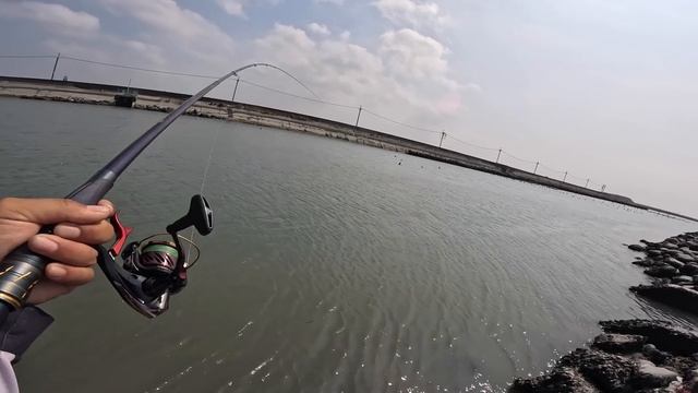 雲林出海口排水溝大紅好多 目印釣組輕鬆釣 短短三小時一直咬 沒帶撈網都來大的 смотреть онлайн