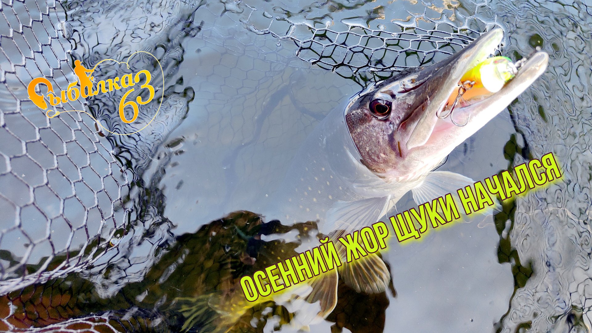 ПОДБОР ЦВЕТА ПРИМАНКИ для осеннего ЖОРА щуки: секреты успешной рыбалки! смотреть онлайн