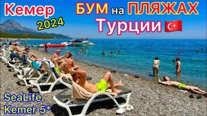 Турция СЕЙЧАС: Пляжи ПЕРЕПОЛНЕНЫ! БОРЬБА за лежаки. МОРЕ в отеле SeaLife Kemer Resort Hotel 5*