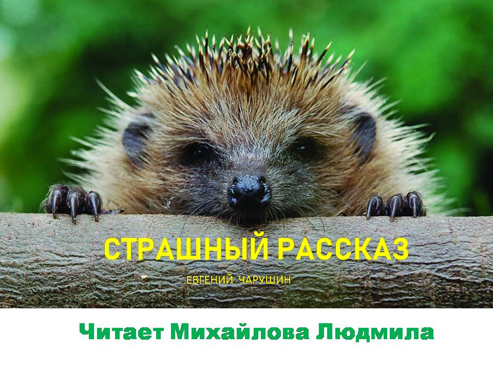 ЕВГЕНИЙ ЧАРУШИН  
