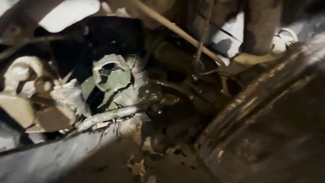 ПРИЕХАЛ СВЕЖИЙ РЕНО ДАСТЕР! смотреть онлайн