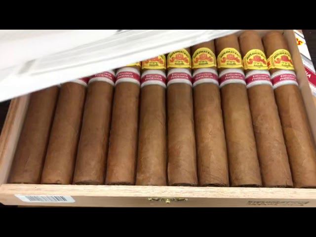 Diplomaticos Ammunition Edición Regional Phoenicia