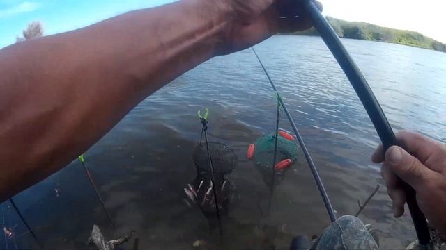 Отличный клев белой рыбы на удочку просто бенефис в прилове щука и окунь. смотреть онлайн