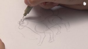 Как нарисовать собаку