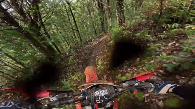 Max Cam: 2024 Ultimate Hawaiian Enduro Follow Cam Raw смотреть онлайн