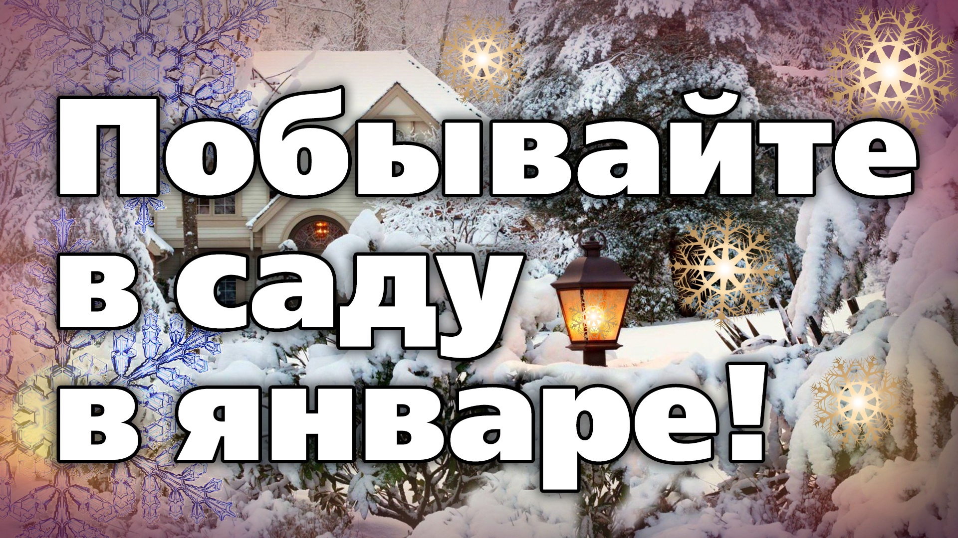 Что нужно сделать на участке в январе. Советы агронома смотреть онлайн