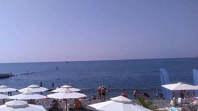 Воскресное утро в Сочи на набережной у "Дель Мара" смотреть онлайн