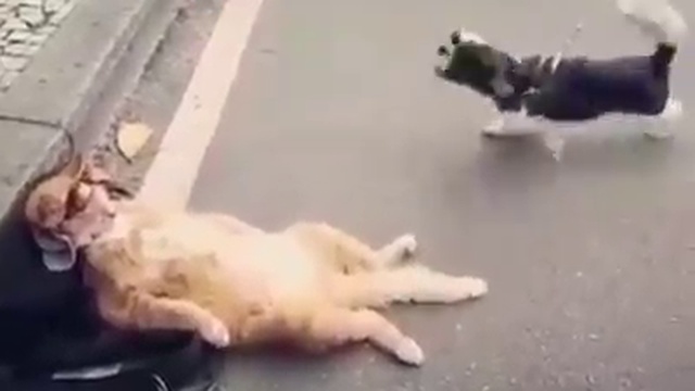 полный игнор смотреть онлайн