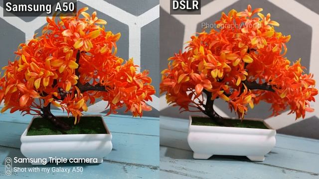 Samsung A50 vs DSLR camera | Samsung galaxy A50 Camera review | DSLR vs Triple camera смотреть онлайн