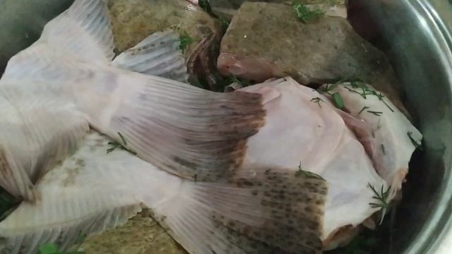 готовлю тушёный калкан смотреть онлайн