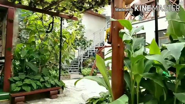 Гостевой дом Auris Коктебель смотреть онлайн