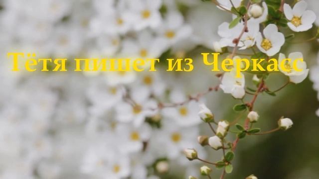 С днём рождения, Наташа! смотреть онлайн