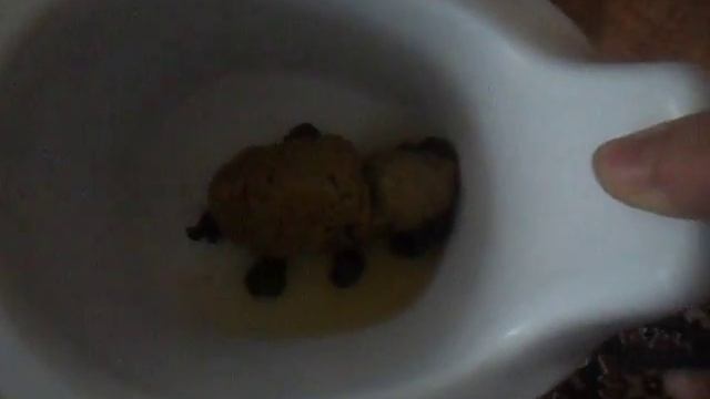 Какашка-черепашка смотреть онлайн
