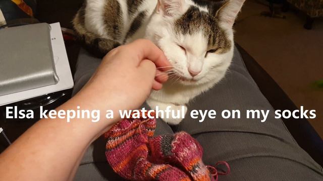 Sew Unique - February Vlog Week 2 - New Cast On and English Paper Piecing смотреть онлайн