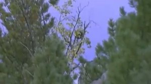 Злой дух Ямбуя.mp4