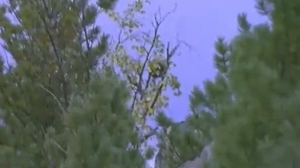 Злой дух Ямбуя.mp4