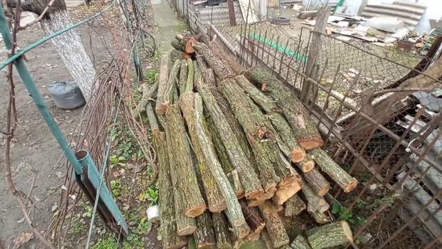 Как купить хорошие дрова и не переплатить, породы древесины, цена на дрова в Украине. смотреть онлайн
