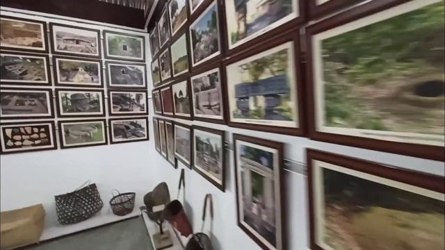 Kaziranga National Orchid and biodiversity Park।।Assam смотреть онлайн