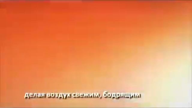 Мойка воздуха Venta LW 25 смотреть онлайн