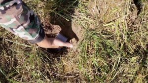 Как звучит золото на Equinox 600\800 5 руб Н2 VDI