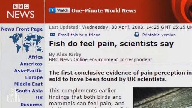 Омега 3 и правда о рыбьем жире (Erin Janus)