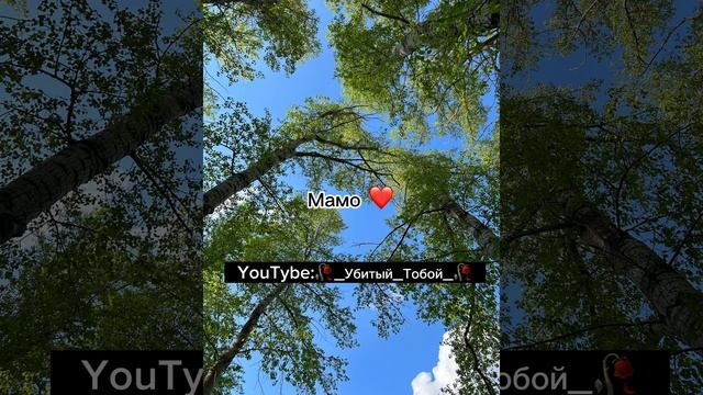 Новая Цыганская песня Моя  мама мая ❤️ ищут все