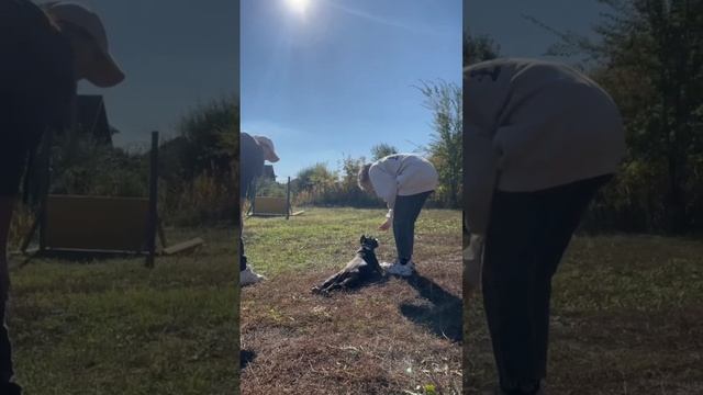 амстафф Мотя первое занятие смотреть онлайн