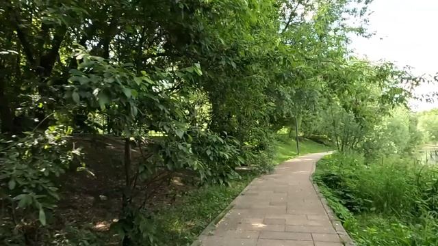 Богатая бабуля приютила многодетную семью из деревни в своем доме… А едва просмотрела запись с каме смотреть онлайн