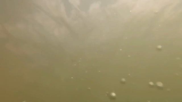 Пляж. Верх-Чумыш река Киселевск Кемеровская область Сибирь смотреть онлайн