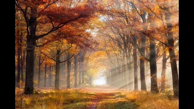 Autumn Leaves смотреть онлайн
