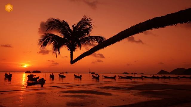 Buddha Lounge Chillout Music ◈ Buddha Bar Chill out Music ◈ Café Bar Restaurant Background Music Mi смотреть онлайн
