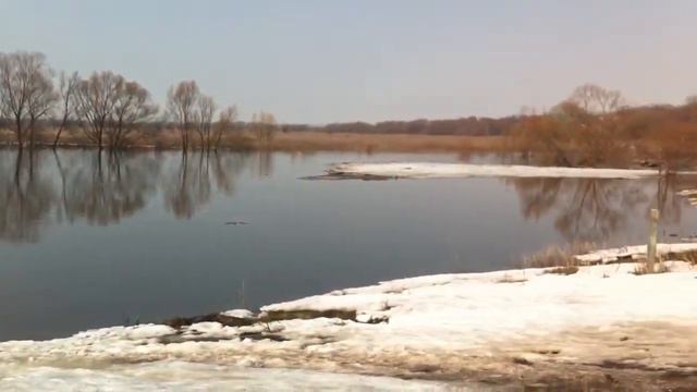 Осетр, Зарайск смотреть онлайн