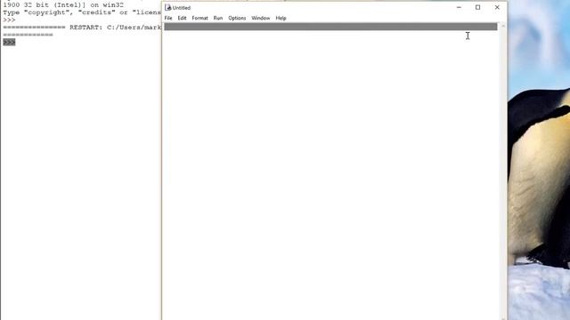 Turtle Library смотреть онлайн
