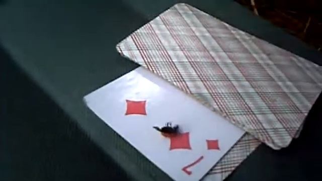 Нижнии брейк и эфектный переход в верхни Божей коровки смотреть онлайн