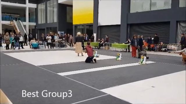 Misha Letvord Gold Little Happiness смотреть онлайн