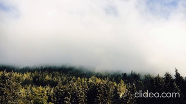 Спокойная музыка для снятия стресса, Музыка для сна, Медитации - Relax № 3 смотреть онлайн