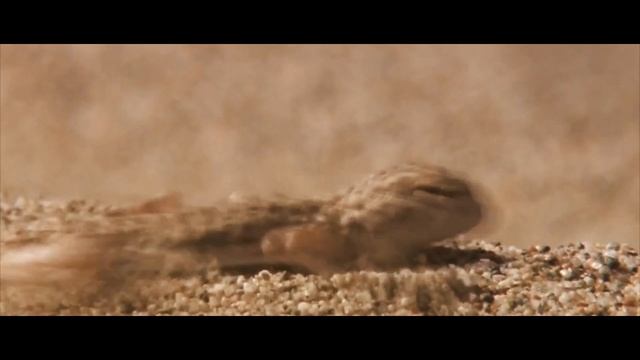 SERES SF5 Off-Road Challenge смотреть онлайн