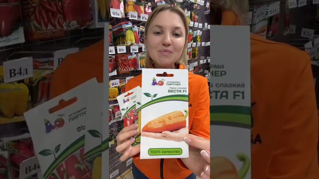 Обзор сладких толстостенных перцев от ПАРТНЕРА🫑и два ваших любимых баклажана🍆 смотреть онлайн