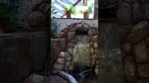 Крым. Алушта. Частное домовладение РАЙ.