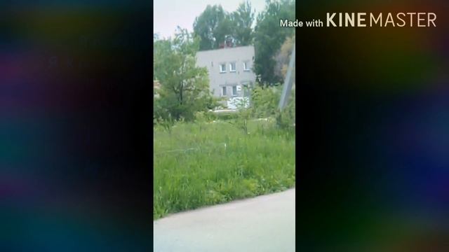 Поймал ящерицу смотреть онлайн