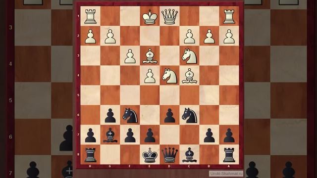 Ловушки в дебюте. Сицилианская защита, Вариант дракона смотреть онлайн