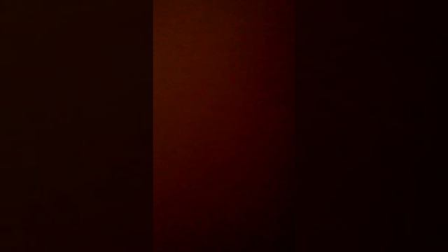 Как правильно чистить клетку попугая смотреть онлайн