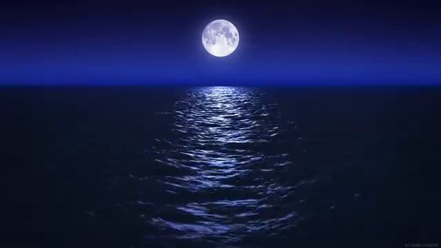 Sleep Music With Ocean and Jungle Sounds – Relaxing Blue Screen Scene – Ocean and Full Moon 2 смотреть онлайн