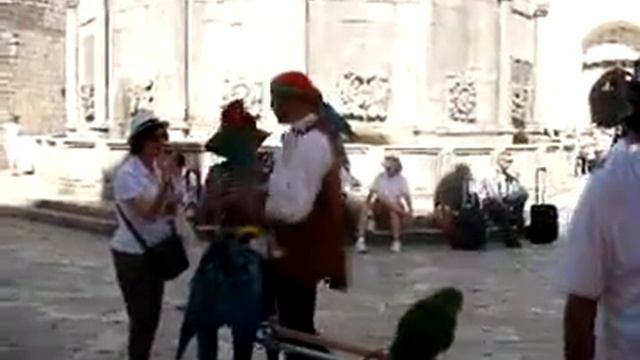 PAPAGAJ DUBROVNIK STRADUN смотреть онлайн