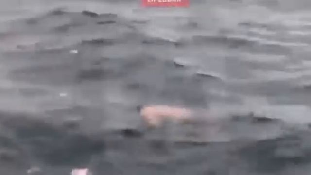 Шок! Первое видео обломков разбившегося Ту-154 МО РФ смотреть онлайн