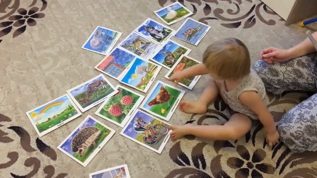 Как малыш называет зверей по картинкам. As the kid calls the animals in the pictures. смотреть онлайн